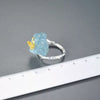 Butterfly on Ice Ring